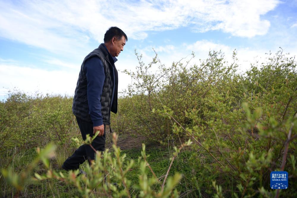 98游戏捕鱼